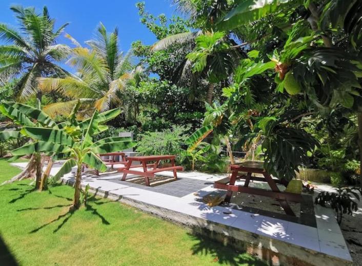 Caribbean Studios Tropicana With Pool - Playa Los Corales Punta Cana Bagian luar foto